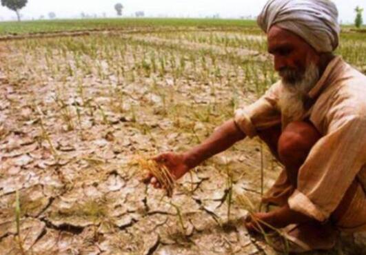 新的2020年农药管理法案如何赋予印度农民权力推动经济增长