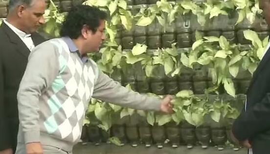 旁遮普邦的林务员用一次性塑料瓶创建了一个垂直花园