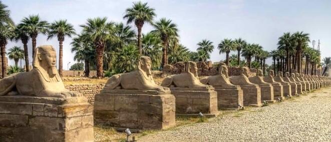 埃及在卢克索的卡纳克神庙启动狮身人面像修复项目