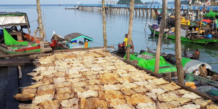丹麦在缅甸推广可持续渔业共同管理的良好做法