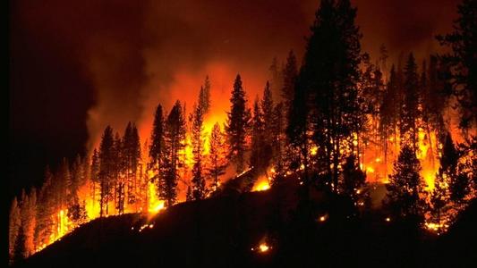 澳新银行为珀斯及周边地区提供森林大火救济包