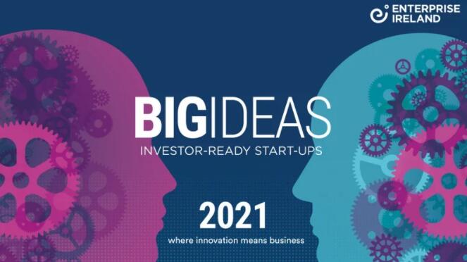 12家初创企业在爱尔兰企业局2021年的大创意上进行投资