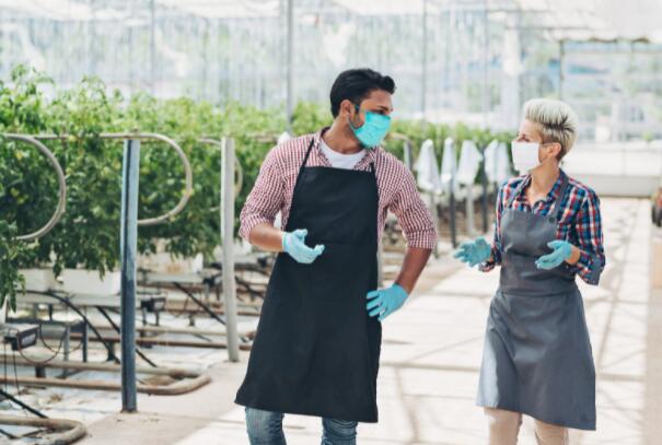 奥罗拉Cannabis的收入和利润都显示出财务状况有所改善